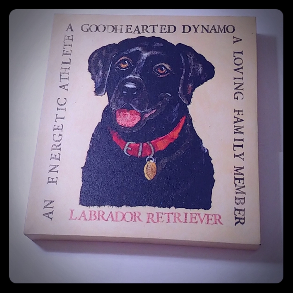 12×10.8 Labrador Wall Frame